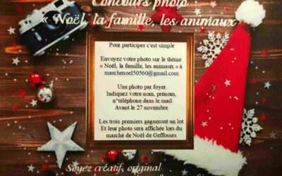 📸 Concours Photo : « Noël, la famille, les animaux » 🎄